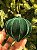 ORNAMENTO DE VIDRO VELUDO VERDE 9,5CM - Imagem 6