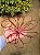FLOR ARAMADA MIÇANGAS VERMELHA 32CM - Imagem 7