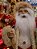 PAPAI NOEL EM PÉ VERMELHO E DOURADO 60CM - PRÉ VENDA 2026 - Imagem 3