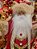 PAPAI NOEL EM PÉ VERMELHO E DOURADO 30CM - PRÉ VENDA 2026 - Imagem 2