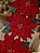 CAMINHO DE MESA BORDADO POINSETIA VERMELHA 1,80CM - PRÉ VENDA 2026 - Imagem 3