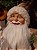 PAPAI NOEL EM PÉ COLEÇÃO GINGER 46CM - PRÉ VENDA 2026 - Imagem 2