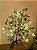 GALHO ARAMADO NEVADO COM 72 LEDS 73CM BIVOLT - Imagem 7