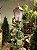 POSTE COM FESTÃO DECORADO COM LED 2,10CM - Imagem 9