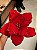 FLOR POINSETIA VERMELHA VELUDO COM BORDA GLITTER 25CM - PRÉ VENDA 2026 - Imagem 2