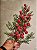 GALHO DECORATIVO BERRY FLOCADO 53CM - PRÉ VENDA 2026 - Imagem 4