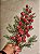 GALHO DECORATIVO BERRY FLOCADO 53CM - PRÉ VENDA 2026 - Imagem 2