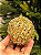 BOLA DOURADA TRABALHADA 10CM COM 3 UNIDADES - Imagem 4