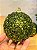 BOLA TRABALHADA VERDE 10CM COM 3 UNIDADES - Imagem 2