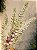 GALHO DECORATIVO AZEVINHO NEVADO 55CM - Imagem 5