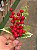 GALHO PICK DECORATIVO BERRY 23CM - PRÉ VENDA 2026 - Imagem 1