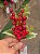 GALHO PICK DECORATIVO BERRY 23CM - PRÉ VENDA 2026 - Imagem 3