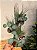 GALHO DECORATIVO FOLHA DE EUCALIPTO COM BERRY E PINHA 78CM - Imagem 1