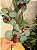 GALHO DECORATIVO FOLHA DE EUCALIPTO COM BERRY E PINHA 78CM - Imagem 5