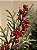 GALHO DECORATIVO COM BERRY NEVADO COM PINHA 60CM - Imagem 5