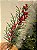 GALHO DECORATIVO COM BERRY NEVADO COM PINHA 60CM - Imagem 1