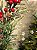 GALHO DECORATIVO COM BERRY NEVADO COM PINHA 60CM - Imagem 4