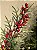 GALHO DECORATIVO COM BERRY NEVADO COM PINHA 60CM - Imagem 2