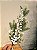 GALHO DECORATIVO NEVADO 70Cm - Imagem 1