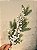 GALHO DECORATIVO NEVADO 70Cm - Imagem 6
