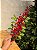 GALHO DECORATIVO BERRY COM PINHA 68CM - Imagem 5