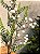 GALHO DECORATIVO FOLHAGEM 60CM - Imagem 4