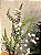 GALHO DECORATIVO FOLHAGEM 60CM - Imagem 2