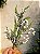 GALHO DECORATIVO FOLHAGEM 60CM - Imagem 1