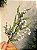 GALHO DECORATIVO FOLHAGEM 60CM - Imagem 3