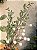GALHO DECORATIVO BERRY BRANCO COM PINHA 48CM - Imagem 5