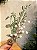 GALHO DECORATIVO BERRY BRANCO COM PINHA 48CM - Imagem 4