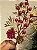 GALHO PICK DECORATIVO BERRY E PINHA 30CM - Imagem 5