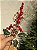 GALHO PICK DECORATIVO BERRY E PINHA 35CM - Imagem 2