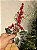 GALHO PICK DECORATIVO BERRY E PINHA 35CM - Imagem 1