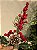 GALHO PICK DECORATIVO BERRY E PINHA 35CM - Imagem 3