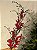 GALHO DECORATIVO BERRY BRILHO 90CM - Imagem 2