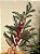 GALHO DECORATIVO NEVADO COM BERRY 80CM - Imagem 1
