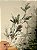 GALHO DECORATIVO NEVADO 70CM - Imagem 2