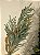 GALHO DECORATIVO REALISTAS E FOLHAS DOURADA 77CM - Imagem 4
