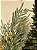 GALHO DECORATIVO REALISTAS E FOLHAS DOURADA 77CM - Imagem 2
