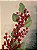 GALHO DECORATIVO BERRY COM FOLHAS 70CM - Imagem 3