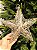 ESTRELA ARAMADA CHAMPANHE 30CM - Imagem 3