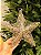 ESTRELA ARAMADA CHAMPANHE 30CM - Imagem 2