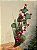 GALHO DECORATIVO BERRY VERMELHO COM FOLHA DE EUCAPLITO 63CM - Imagem 2