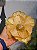 FLOR MAGNOLIA DOURADA COM GLITTER 15CM - Imagem 1