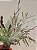 GALHO DECORATIVO FOLHAGENS COM PINHA 40CM - Imagem 3