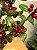 GALHO DECORATIVO FOLHAS COM BERRY VERMELHO 80CM - Imagem 6