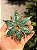PENDENTE ESTRELA VERDE 13CM - Imagem 2