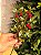 GALHO DECORATIVO BERRY E PINHA 34CM - Imagem 1