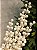 GALHO DECORATIVO BERRY BRANCO PEROLADO 90CM - Imagem 4